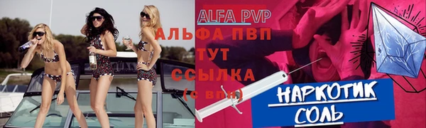 прущие грибы Ельня