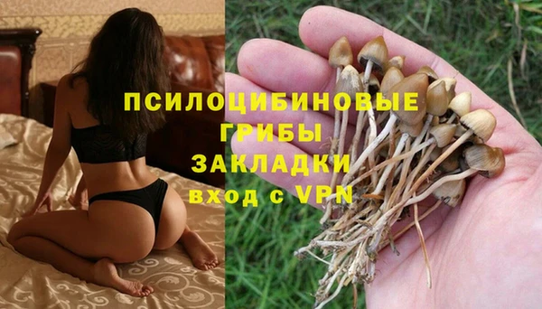 ECSTASY Балахна