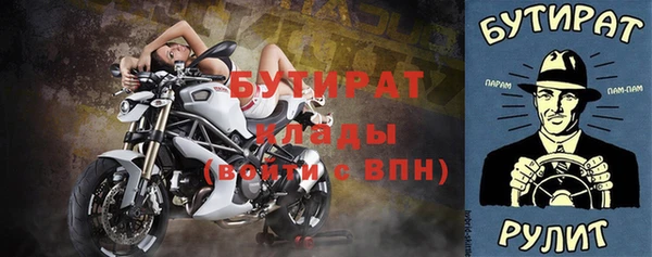 хмурый Аркадак