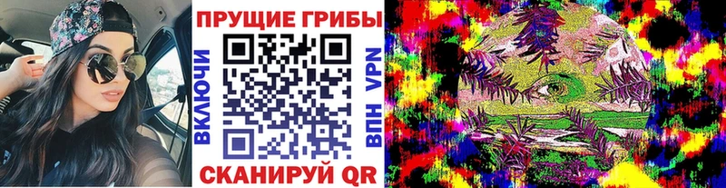 Псилоцибиновые грибы GOLDEN TEACHER  Пласт 